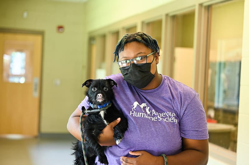 Careers at humane society conduent core competencies
